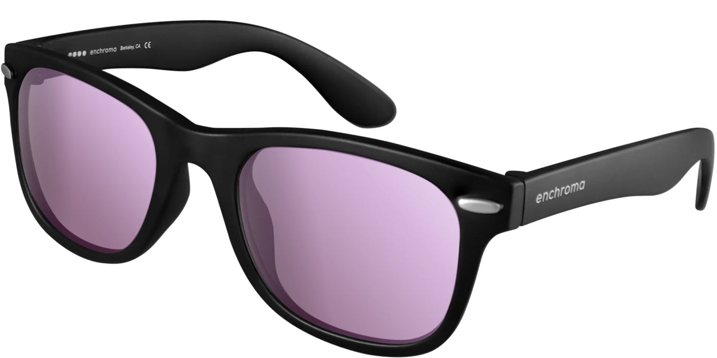 EnChroma Skypark LX Sunglasses Black / Red / LX2 Copper