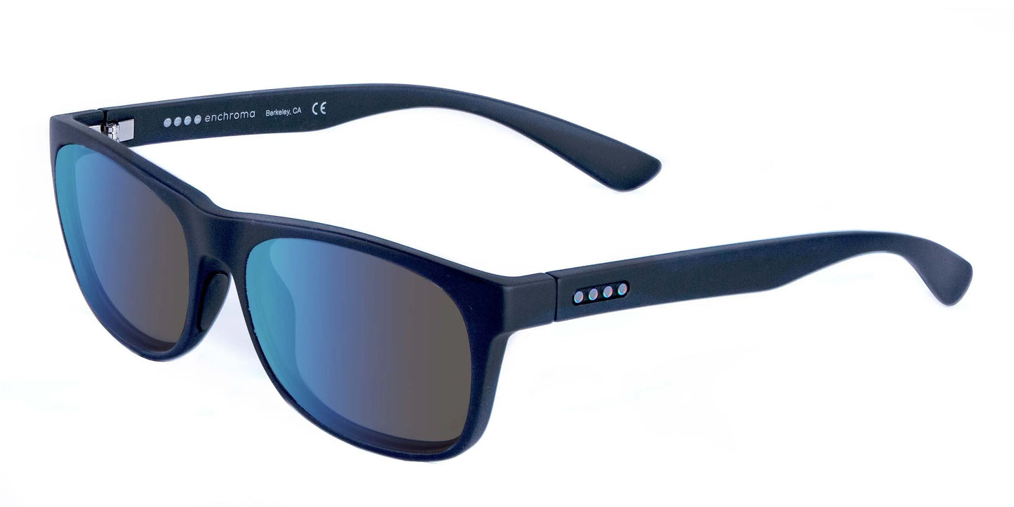 EnChroma Colby CX Sunglasses Smooth Black / Indoor Universal