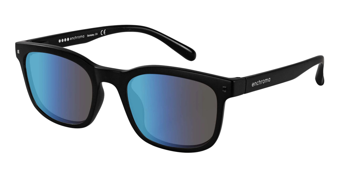 EnChroma Grayson CX Sunglasses Matte Black / Indoor Universal
