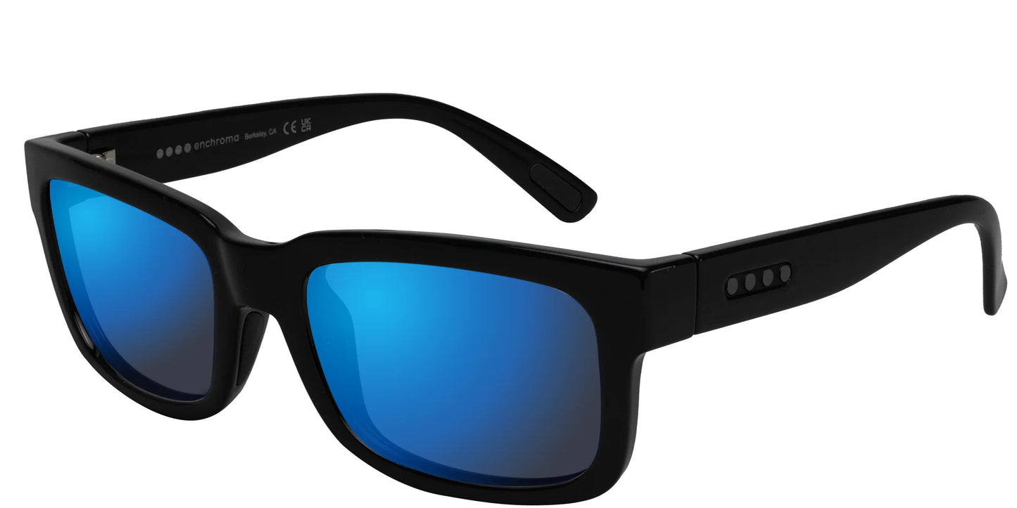 EnChroma Shupnick CX Sunglasses Black / Indoor Universal