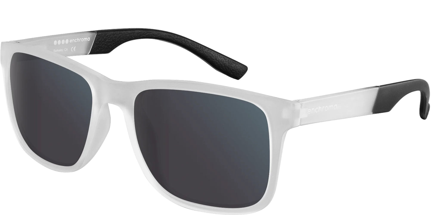 EnChroma Tilden CX Sunglasses Matte Crystal / Indoor Universal