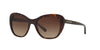 Coach L1631 HC8204 Sunglasses | Size 52 / Dark Tortoise / Brown Gradient (3N 16%)