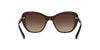 Coach L1631 HC8204 Sunglasses | Size 52 / Dark Tortoise / Brown Gradient (3N 16%)