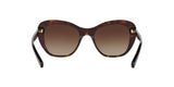 Coach L1631 HC8204 Sunglasses | Size 52