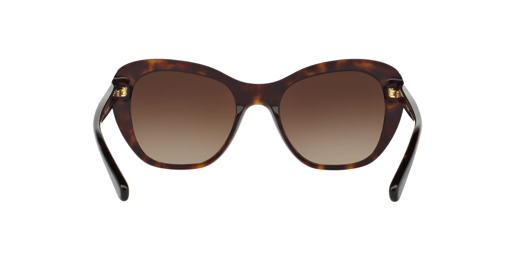 Coach L1631 HC8204 Sunglasses | Size 52