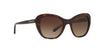 Coach L1631 HC8204 Sunglasses | Size 52 / Dark Tortoise / Brown Gradient (3N 16%)