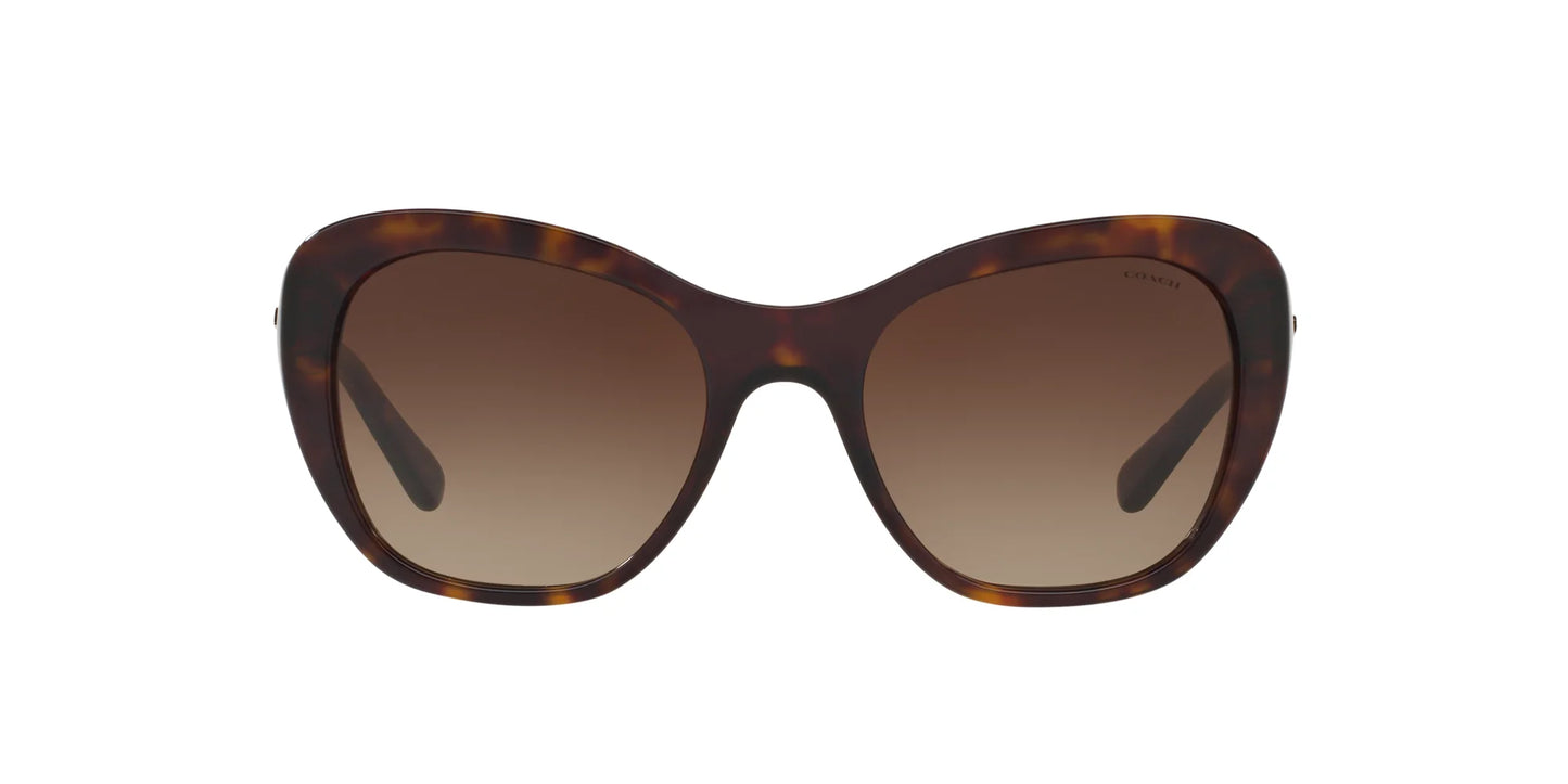 Coach L1631 HC8204 Sunglasses | Size 52