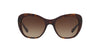 Coach L1631 HC8204 Sunglasses | Size 52 / Dark Tortoise / Brown Gradient (3N 16%)