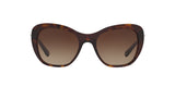 Coach L1631 HC8204 Sunglasses | Size 52