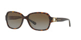 Coach L1031 HC8241 Sunglasses Dark Tortoise / Brown Gradient Polarized