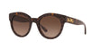 Coach L1084 HC8265 Sunglasses Tortoise Glitter Signature C / Dark Brown Gradient