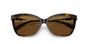 Coach L1172 HC8305 Sunglasses | Size 57 / Dark Tortoise / Brown Polarized (3P 11%)