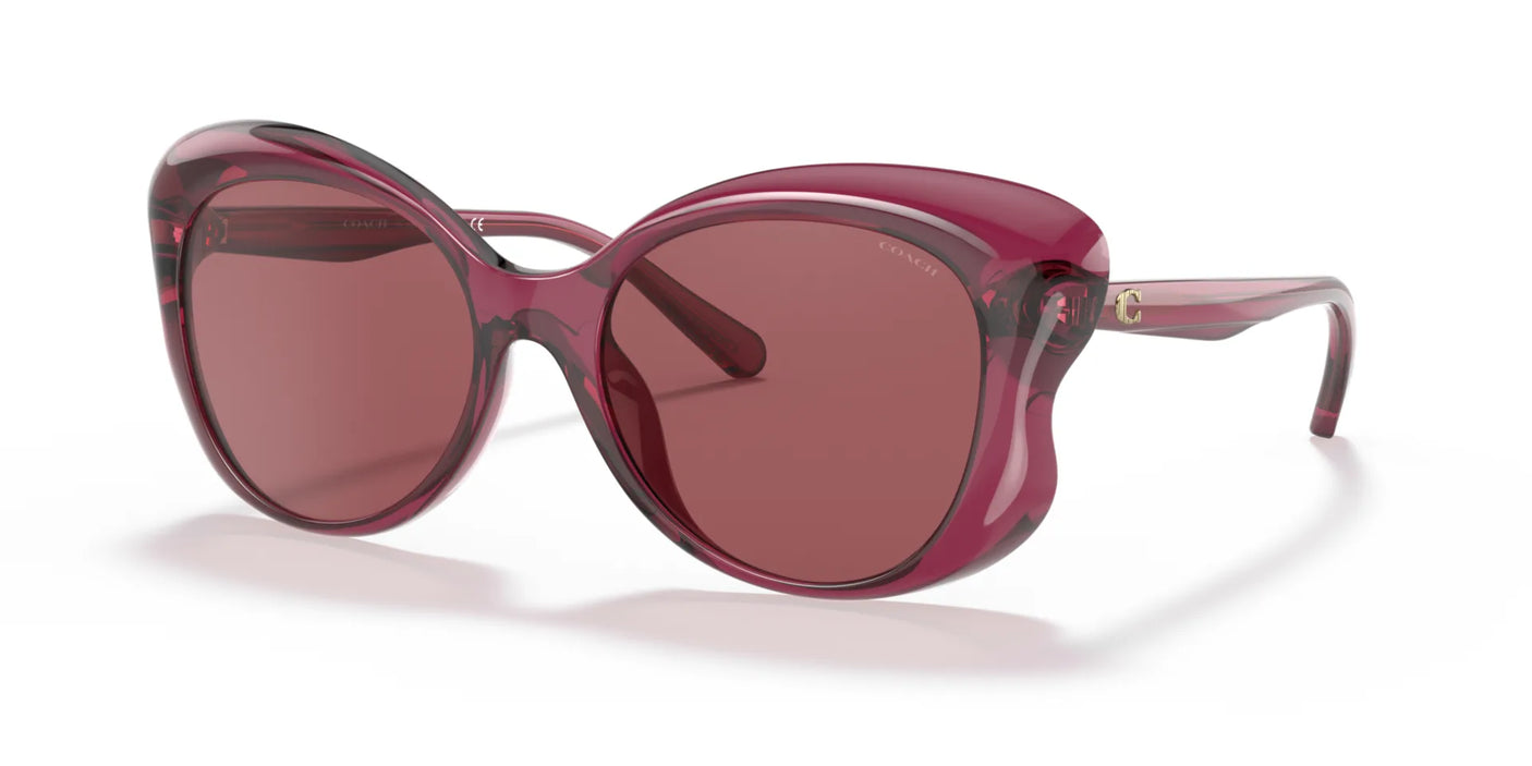 Coach L1170 HC8307U Sunglasses Wine / Burgundy