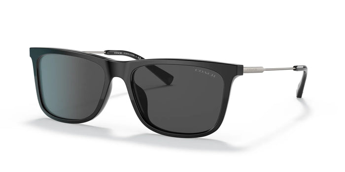 Coach C2096 HC8310U Sunglasses | Size 58 / Black №500287 / Dark Grey (3N 10%)