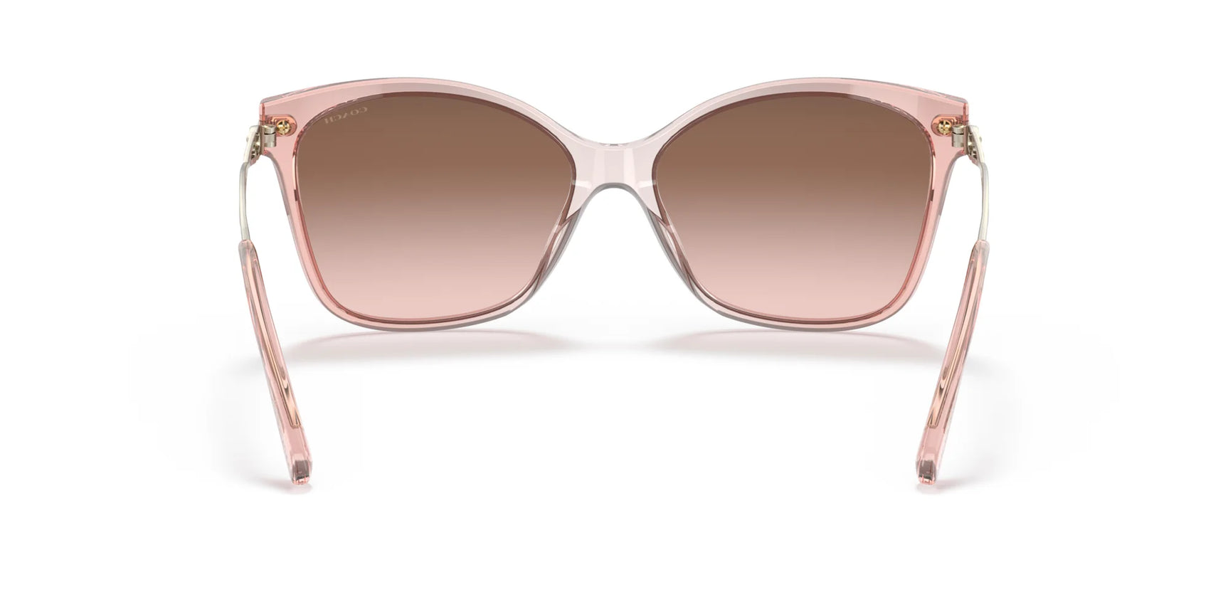 Coach C3505 HC8316F Sunglasses