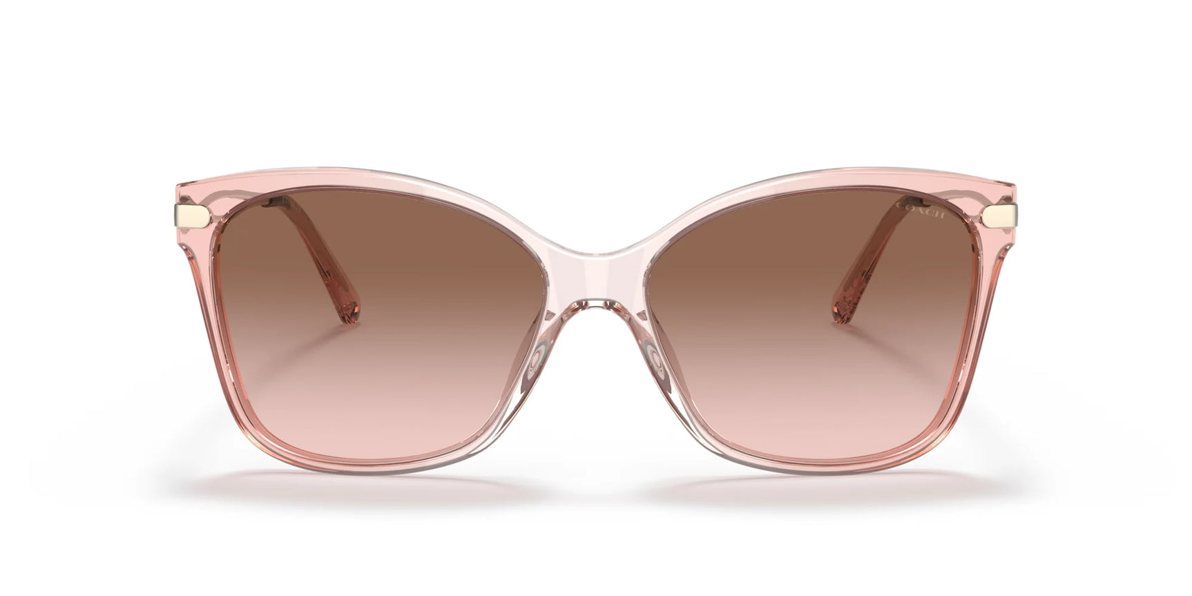 Coach C3505 HC8316F Sunglasses