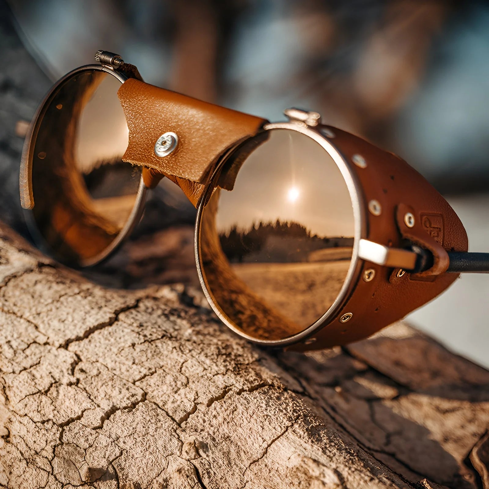 Julbo Vermont Classic Sunglasses, Size 51, rest on a cracked log with brown leather accents reflecting a sunny landscape with trees, capturing the essence of Vermont charm.