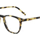 Tokyo Tortoise