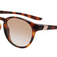 Tortoise / Gradient Brown