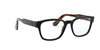 Polo PH2214 Eyeglasses | Size 51 / Shiny Transparent Olive