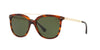 Polo PH4135 Sunglasses | Size 54 / Havana Striped / Bottle Green (3N 9.4%)