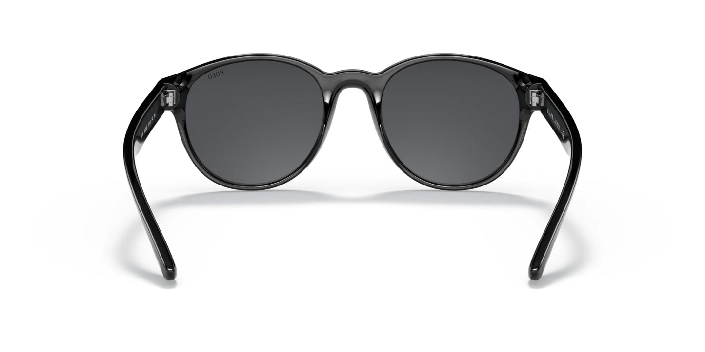 Polo PH4176 Sunglasses | Size 51