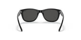 Polo PP9501 Sunglasses | Size 47