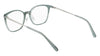 Pure P3009 Eyeglasses / Crystal