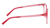 Pure P3016 Eyeglasses