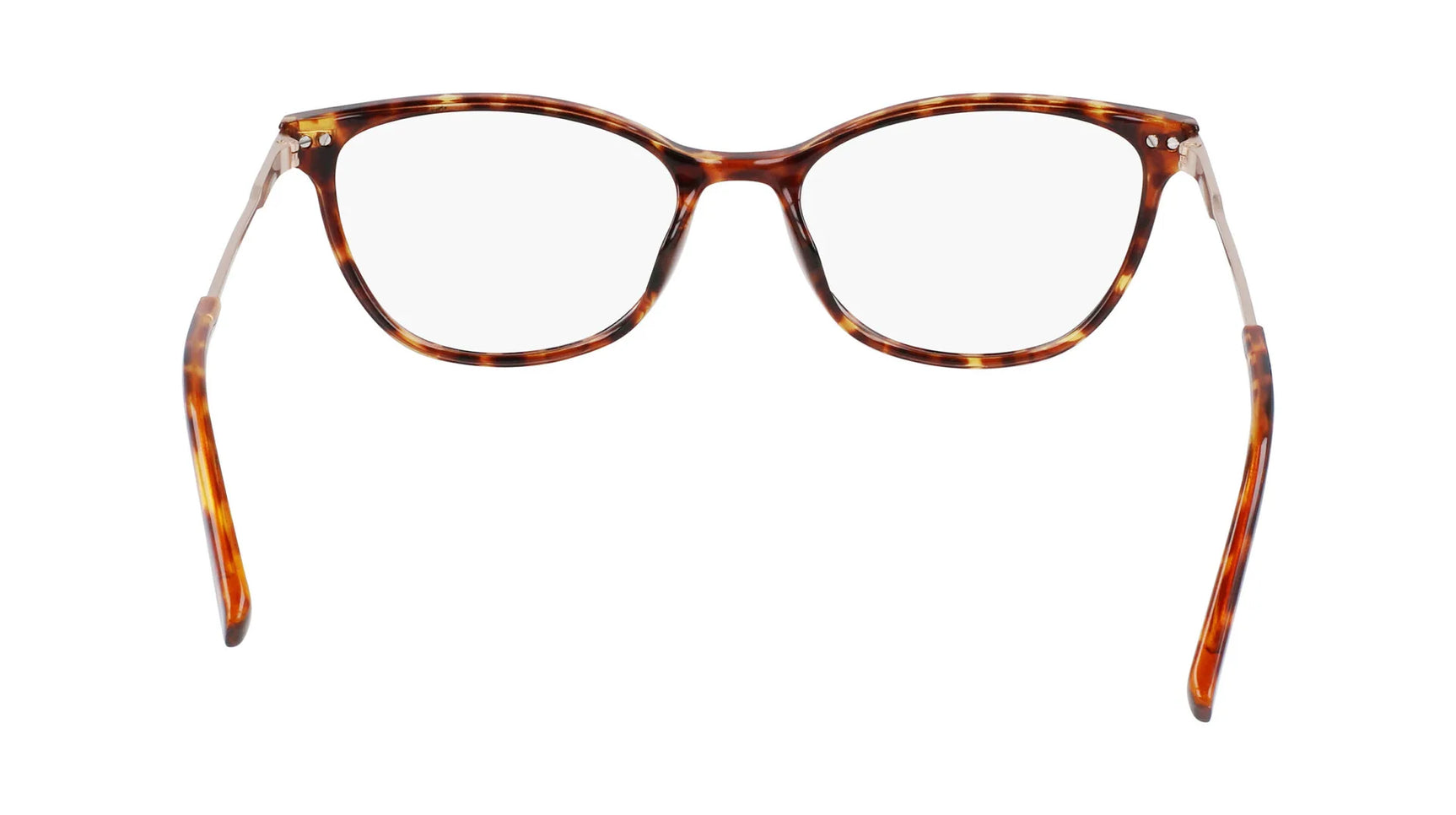 Pure P3017 Eyeglasses