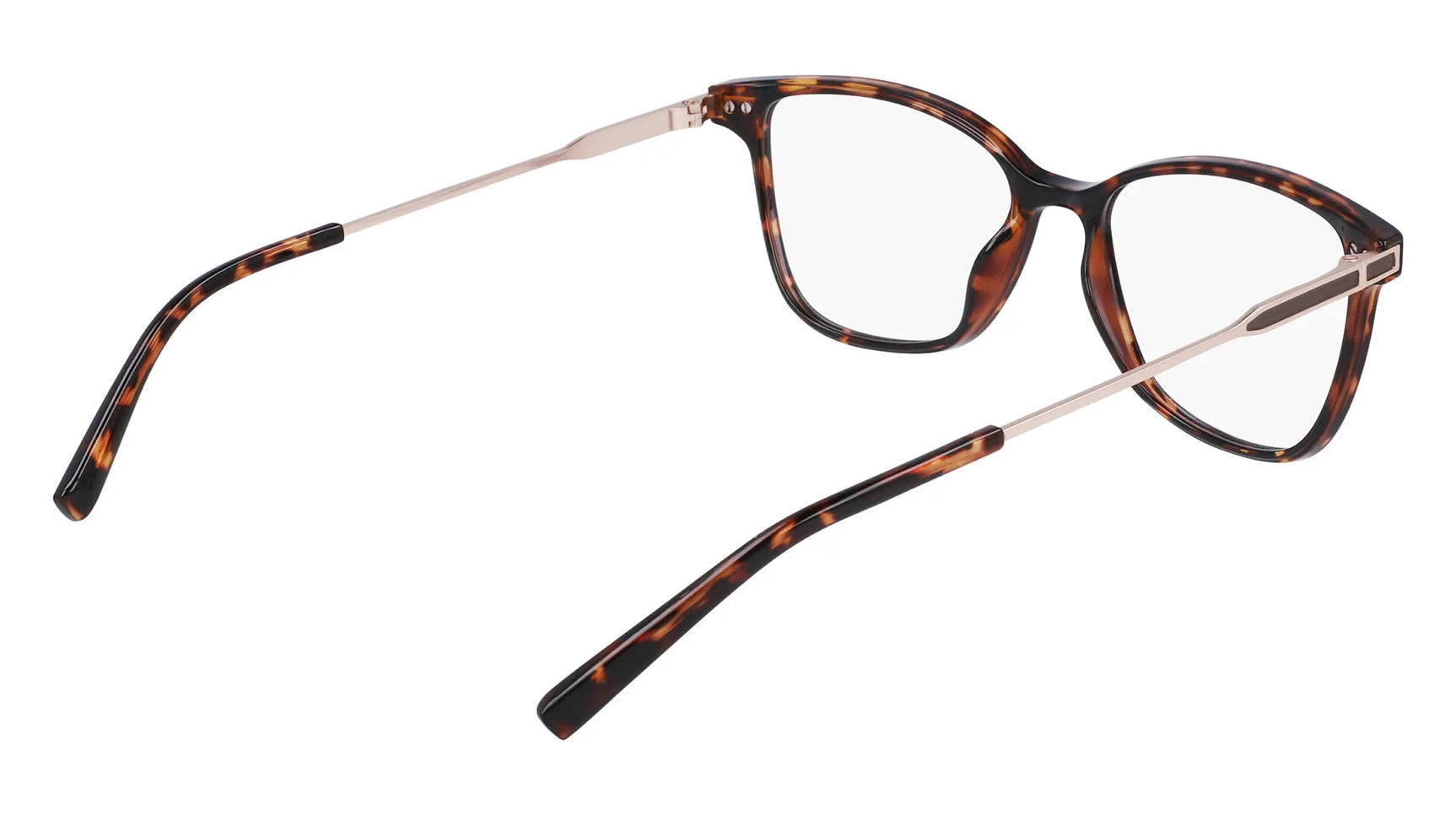 Pure P3019 Eyeglasses