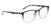 Pure P2015 Eyeglasses / Black / Tortoise