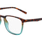 Tortoise / Teal