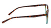Pure P2015 Eyeglasses / Black / Tortoise