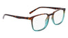 Pure P2015 Eyeglasses / Black / Tortoise