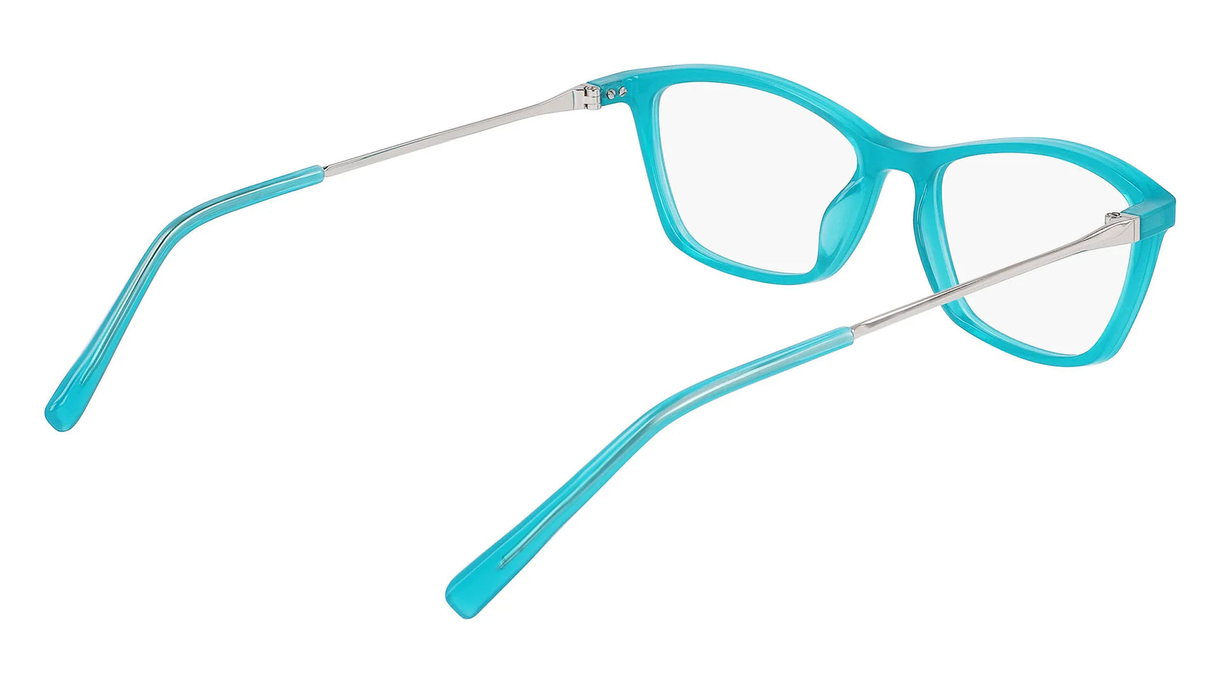 Pure P3022 Eyeglasses