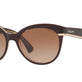 Brown Beige
