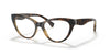 Ralph RA7106 Eyeglasses / Shiny Transparent Dark Havana