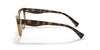 Ralph RA7106 Eyeglasses / Shiny Transparent Dark Havana