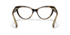 Ralph RA7106 Eyeglasses / Shiny Transparent Dark Havana