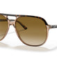 Havana On Transparent Brown