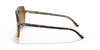 Ray-Ban BILL RB2198F Sunglasses | Size 60 / Havana On Transparent Brown / Light Brown Gradient (2N 30.5%)