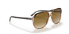 Ray-Ban BILL RB2198F Sunglasses | Size 60 / Havana On Transparent Brown / Light Brown Gradient (2N 30.5%)