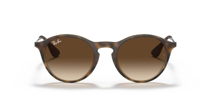 Ray-Ban RB4243 Sunglasses | Size 49