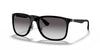 Ray-Ban RB4313 Sunglasses | Size 58 / Black №601/8G / Light Grey Gradient Dark Grey (3N 15.2%)