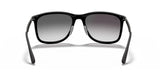 Ray-Ban RB4313 Sunglasses | Size 58