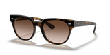 Ray-Ban BLAZE METEOR RB4368N Sunglasses Light Havana / Brown Gradient Dark Brown