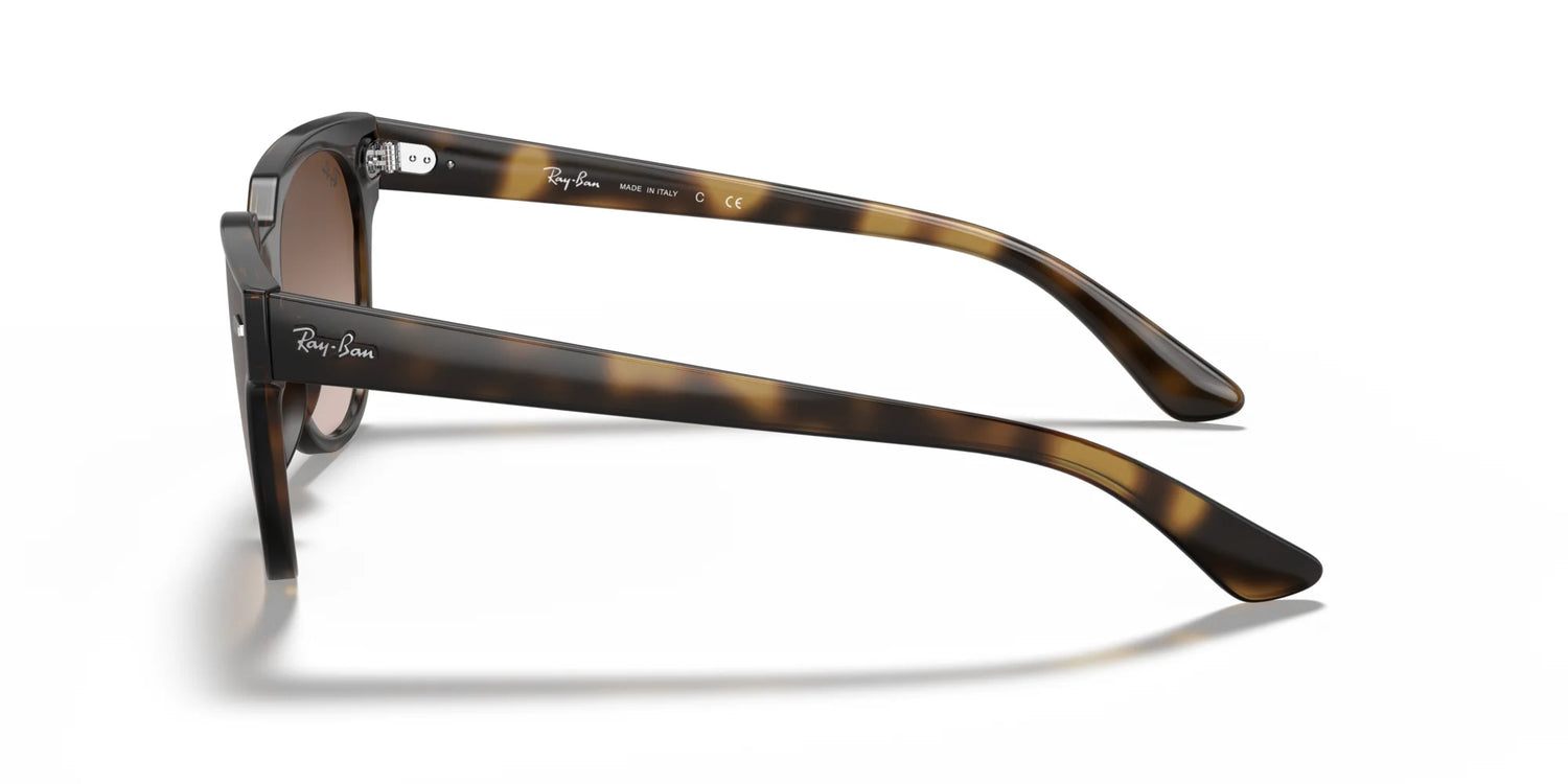 Ray-Ban BLAZE METEOR RB4368N Sunglasses