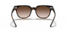 Ray-Ban BLAZE METEOR RB4368N Sunglasses / Light Havana / Brown Gradient Dark Brown
