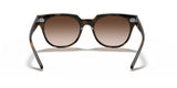 Ray-Ban BLAZE METEOR RB4368N Sunglasses